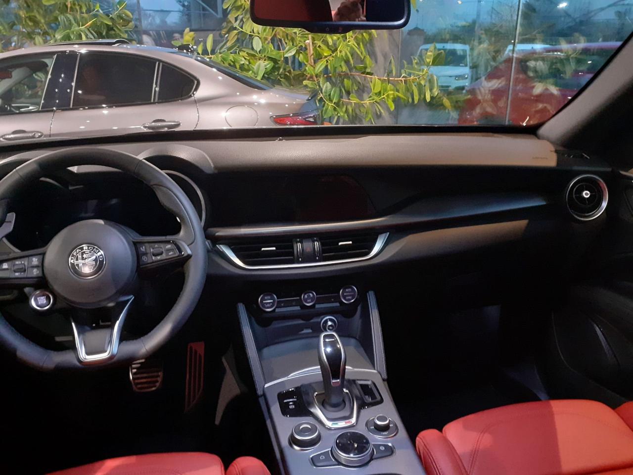 Alfa Romeo Alfa Romeo Stelvio usata 9