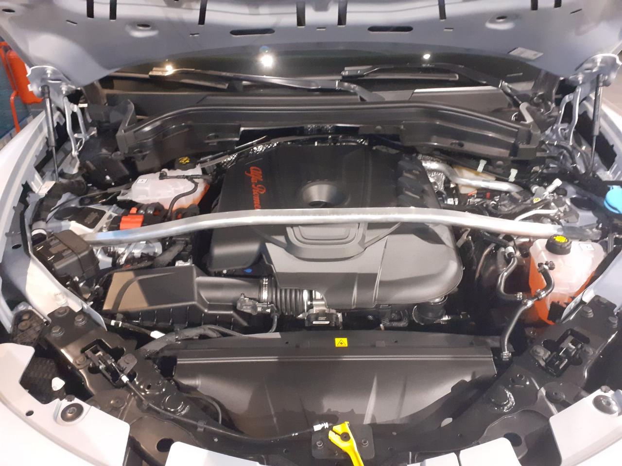 Alfa Romeo Alfa Romeo Stelvio usata 10