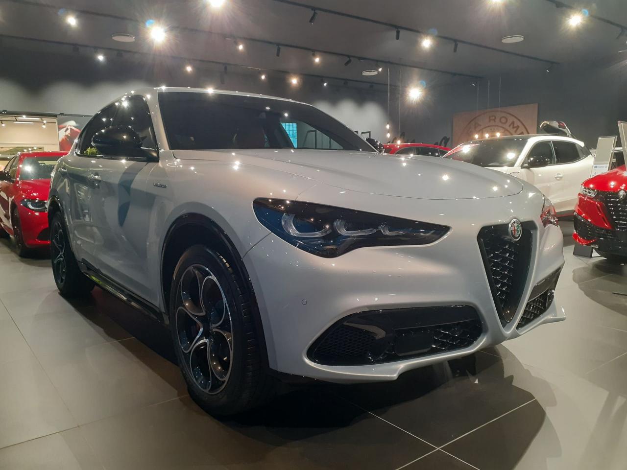 Alfa Romeo Alfa Romeo Stelvio usata 13