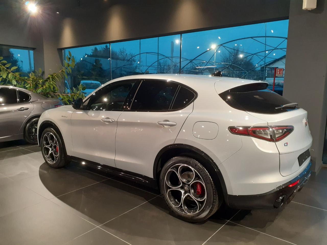 Alfa Romeo Alfa Romeo Stelvio usata 14