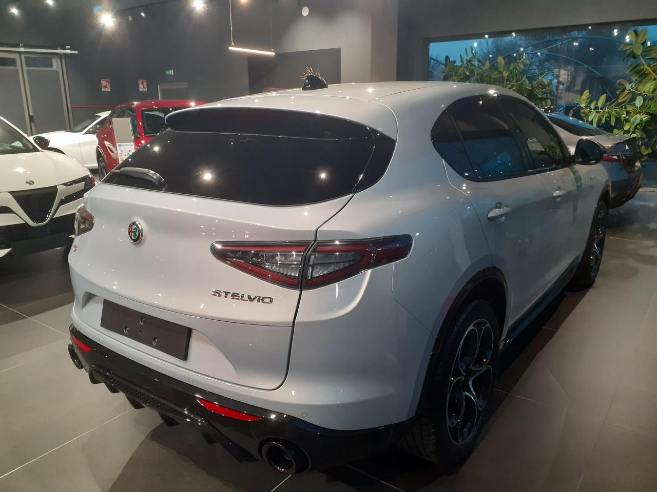 Alfa Romeo Alfa Romeo Stelvio usata 18