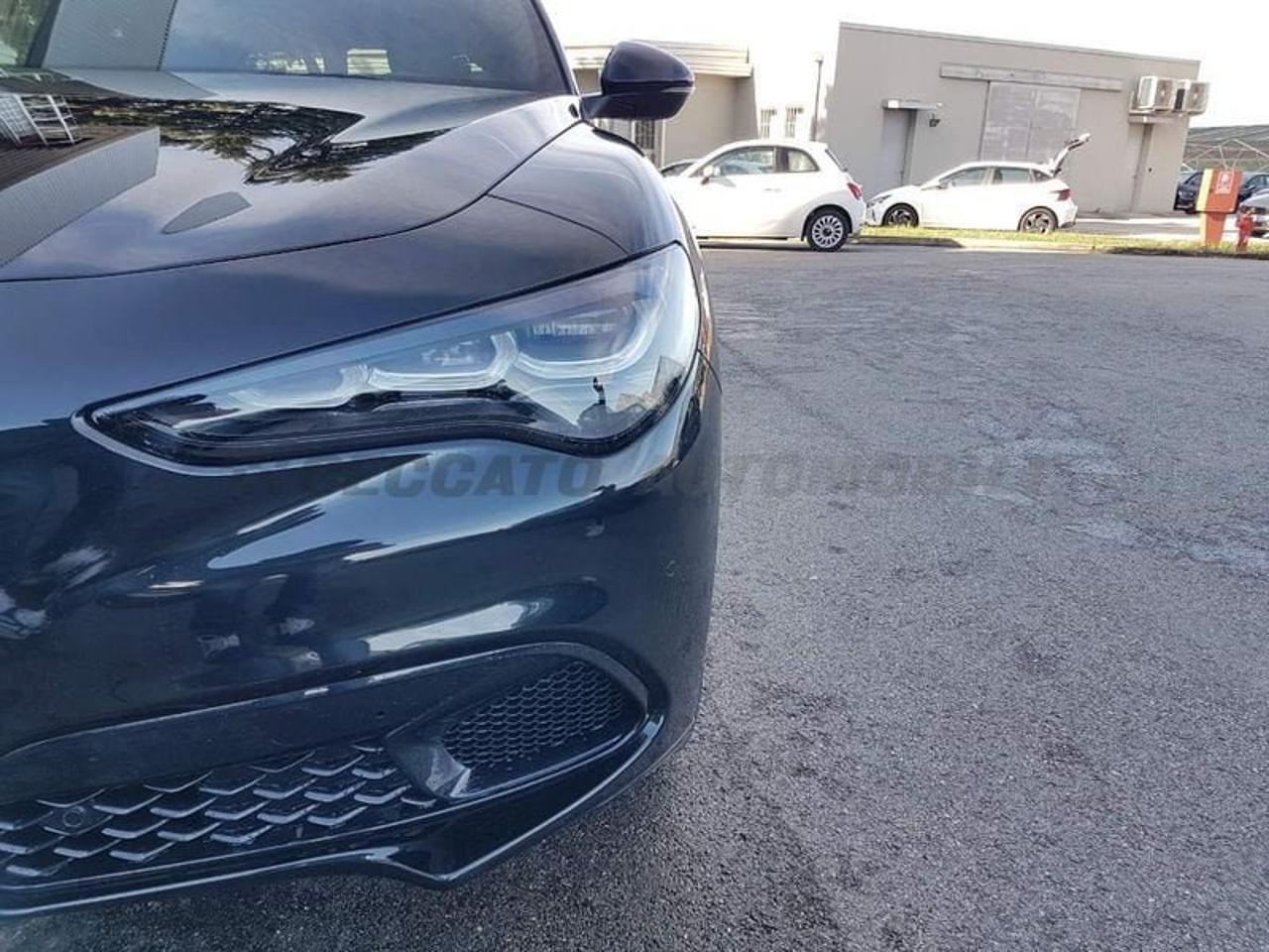 Alfa Romeo Alfa Romeo Stelvio usata 9