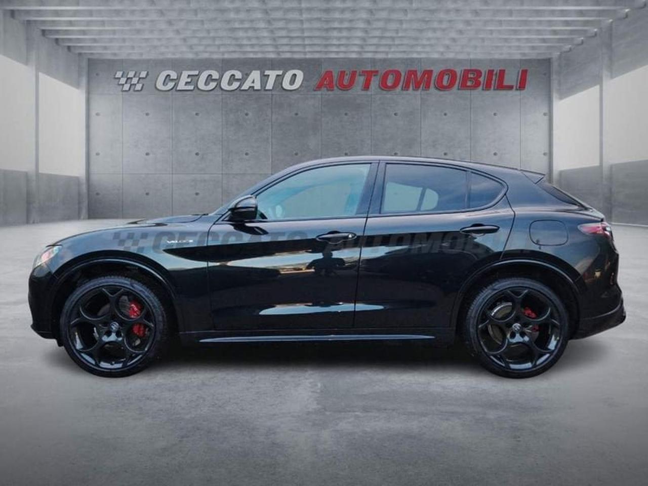 Alfa Romeo Alfa Romeo Stelvio usata 11
