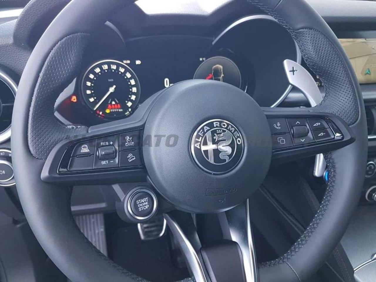 Alfa Romeo Alfa Romeo Stelvio usata 15
