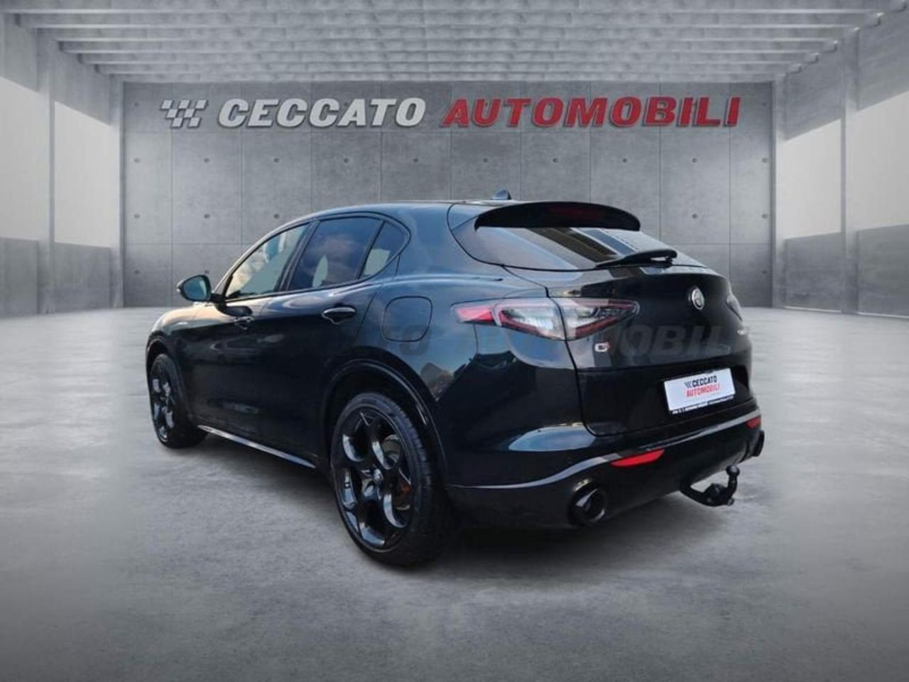 Alfa Romeo Alfa Romeo Stelvio usata 20