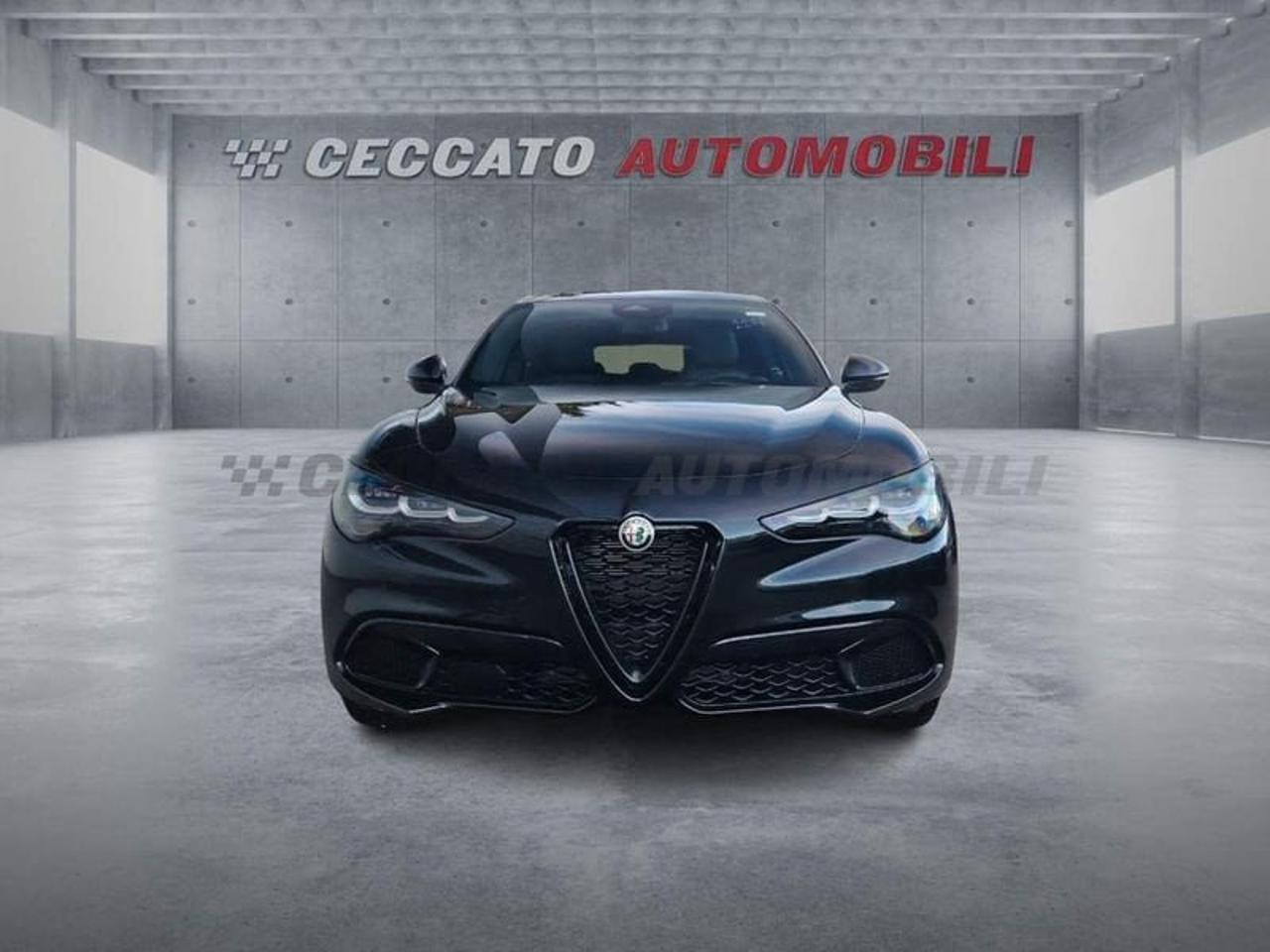 Alfa Romeo Alfa Romeo Stelvio usata 21
