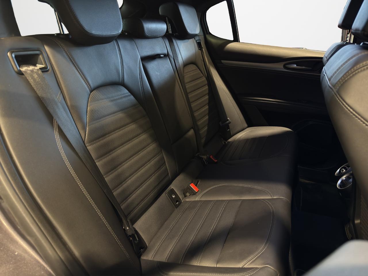 Alfa Romeo Alfa Romeo Stelvio usata 8