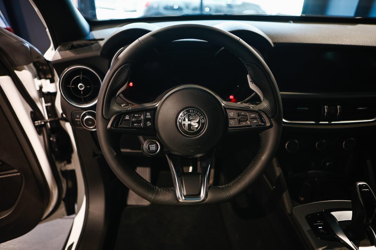 Alfa Romeo Alfa Romeo Stelvio usata 2