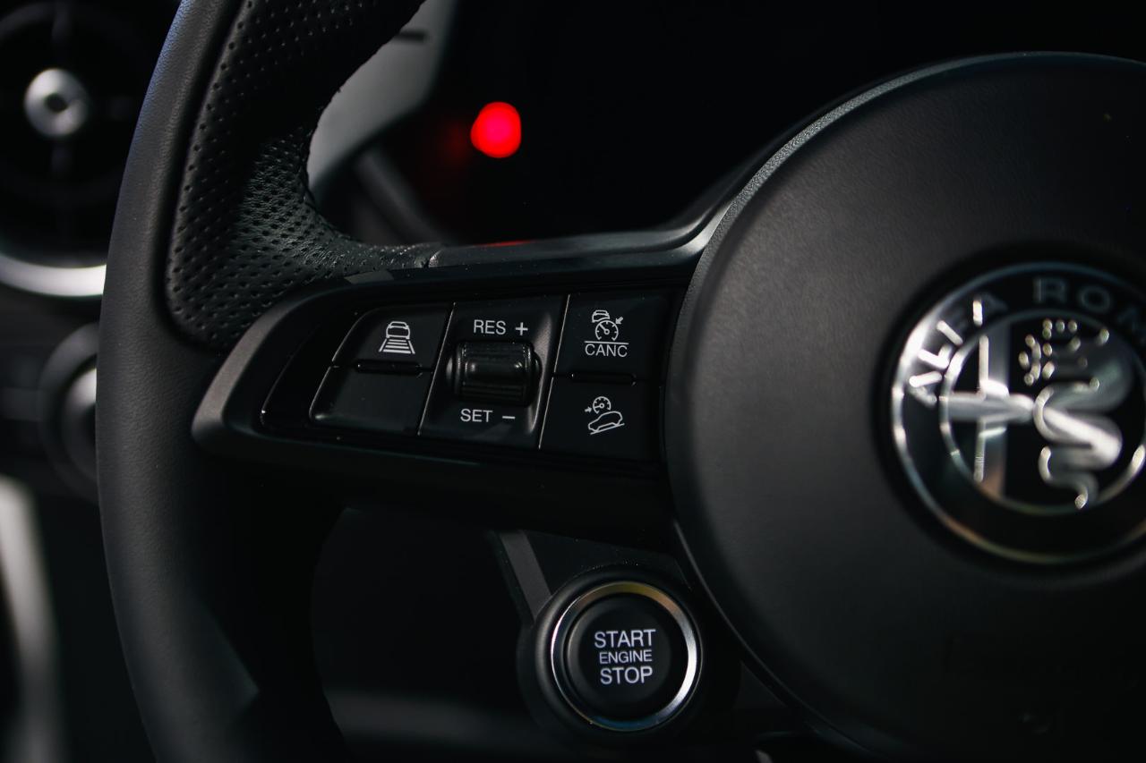 Alfa Romeo Alfa Romeo Stelvio usata 3