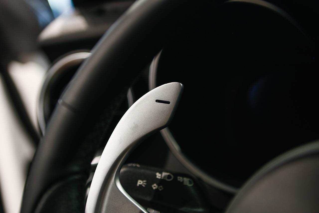 Alfa Romeo Alfa Romeo Stelvio usata 5