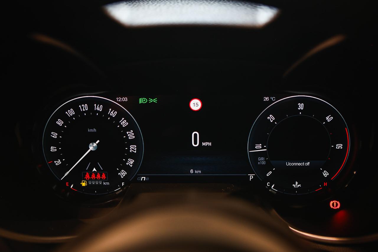 Alfa Romeo Alfa Romeo Stelvio usata 9