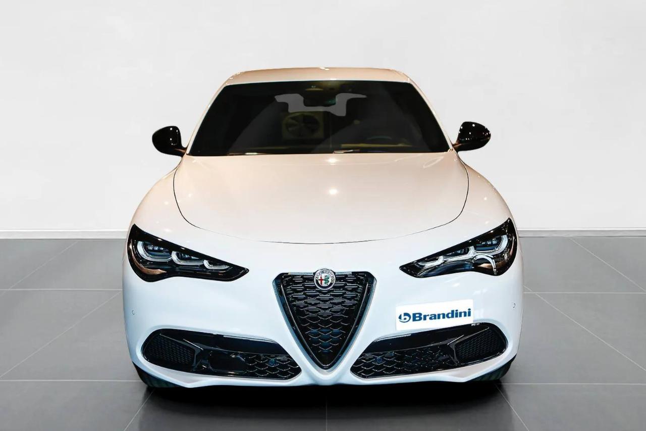 Alfa Romeo Alfa Romeo Stelvio usata 11