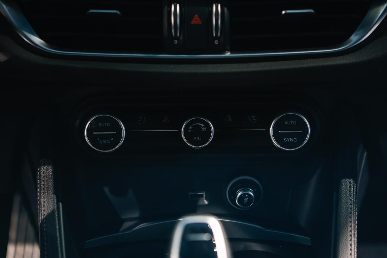 Alfa Romeo Alfa Romeo Stelvio usata 15