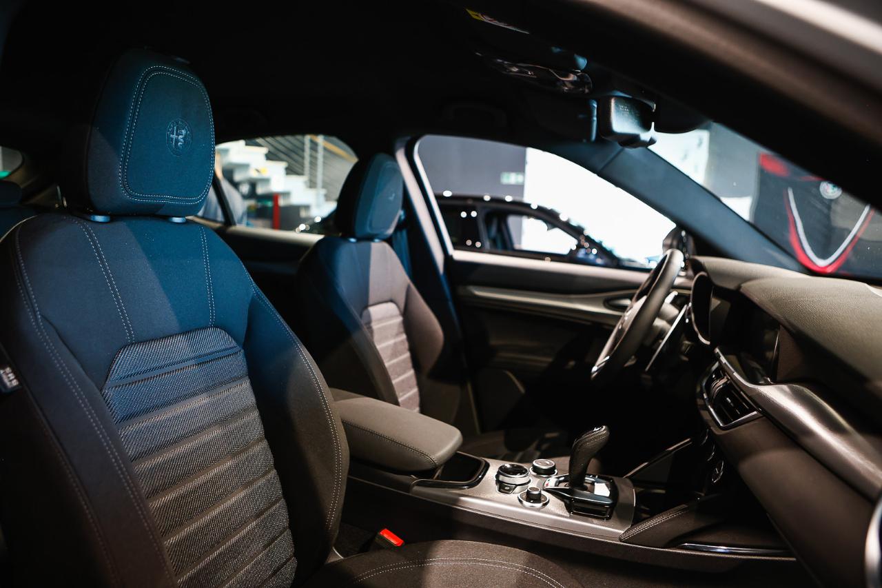 Alfa Romeo Alfa Romeo Stelvio usata 19