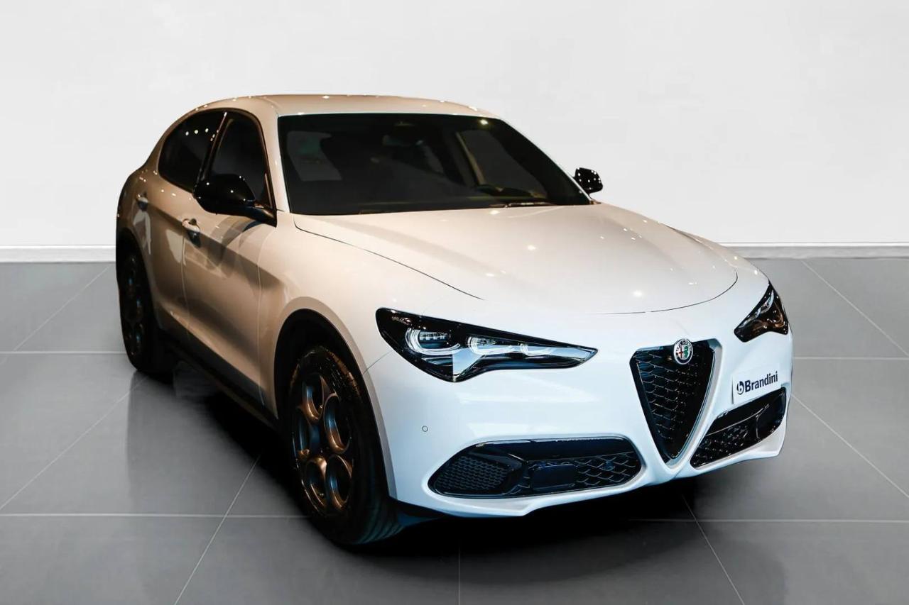 Alfa Romeo Alfa Romeo Stelvio usata 22