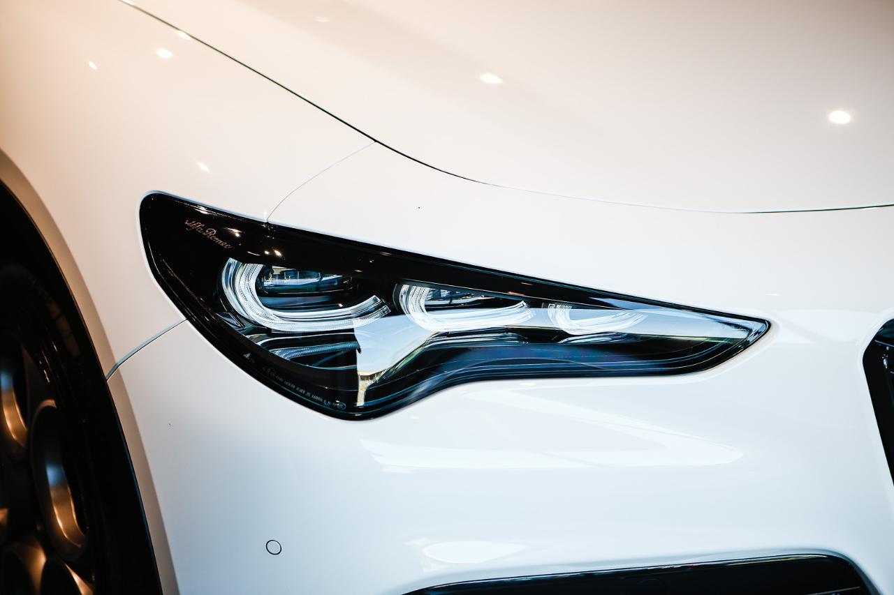 Alfa Romeo Alfa Romeo Stelvio usata 24