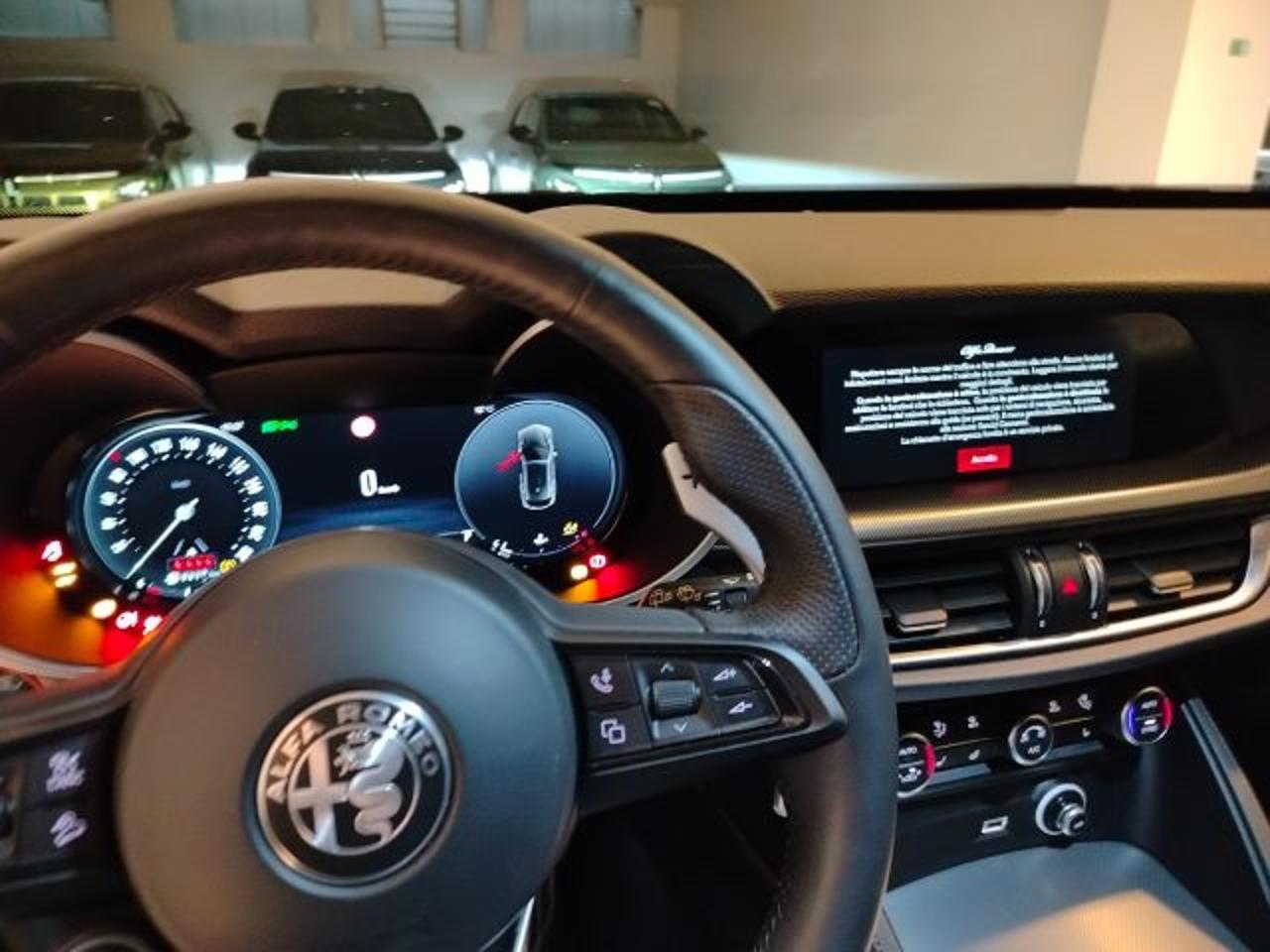 Alfa Romeo Alfa Romeo Stelvio usata 10