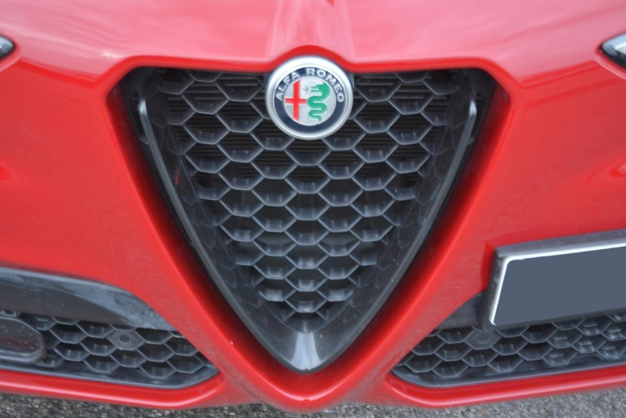 Alfa Romeo Alfa Romeo Stelvio usata 13