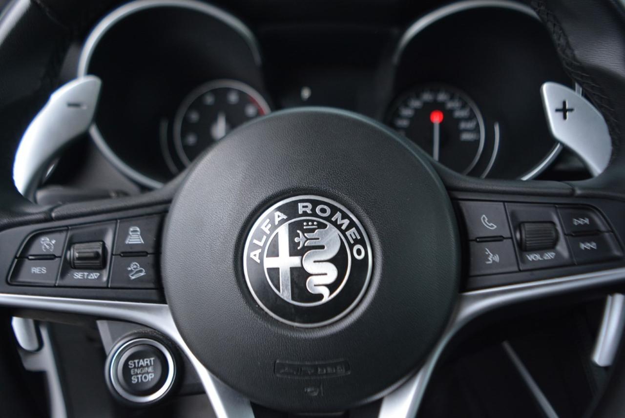 Alfa Romeo Alfa Romeo Stelvio usata 7
