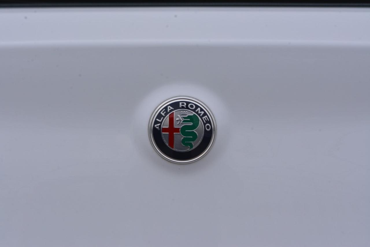 Alfa Romeo Alfa Romeo Stelvio usata 16