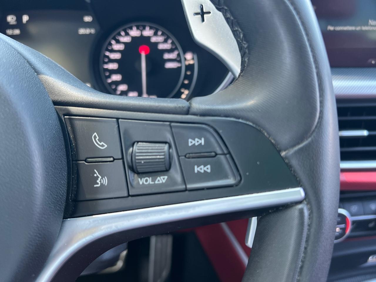 Alfa Romeo Alfa Romeo Stelvio usata 9