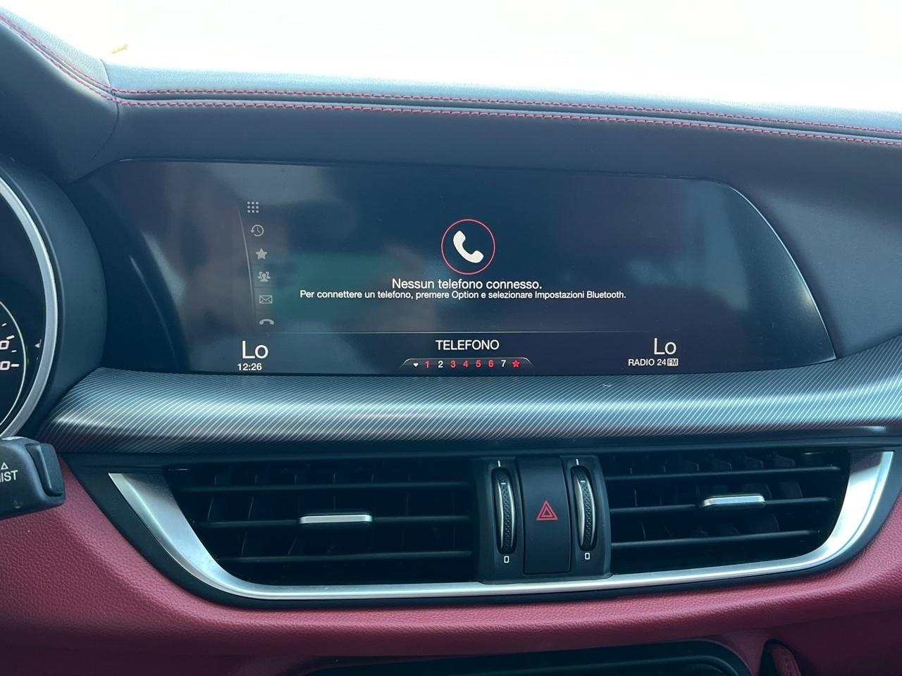 Alfa Romeo Alfa Romeo Stelvio usata 13