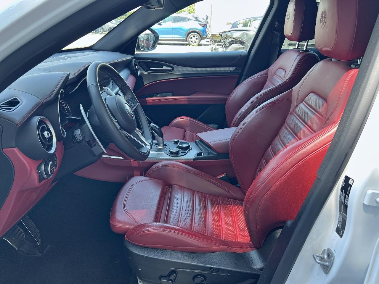 Alfa Romeo Alfa Romeo Stelvio usata 19