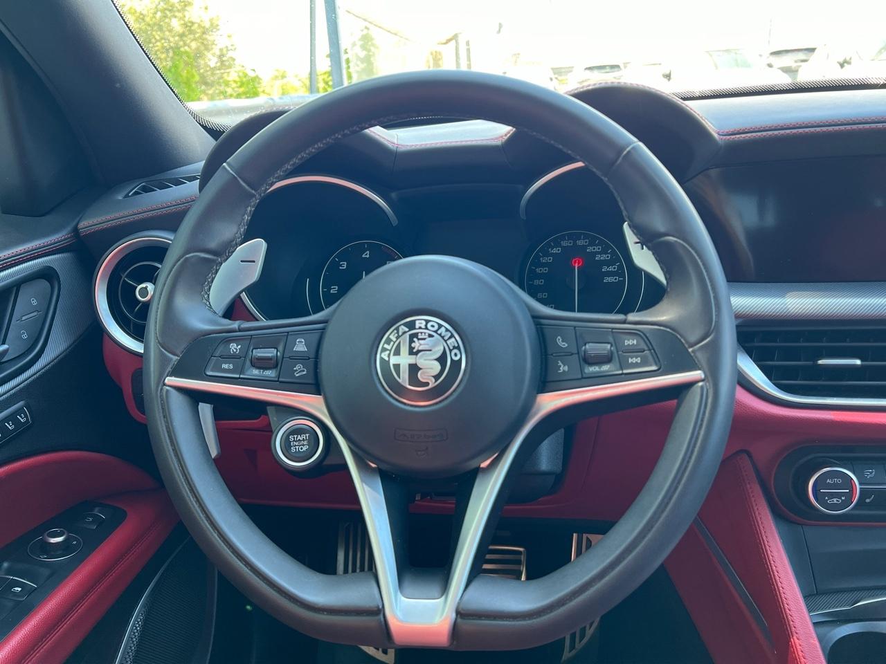 Alfa Romeo Alfa Romeo Stelvio usata 21