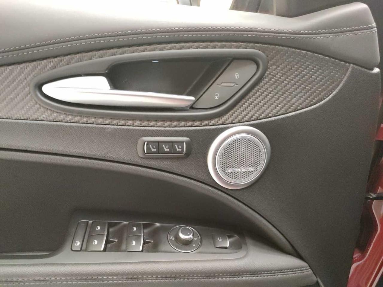 Alfa Romeo Alfa Romeo Stelvio usata 17