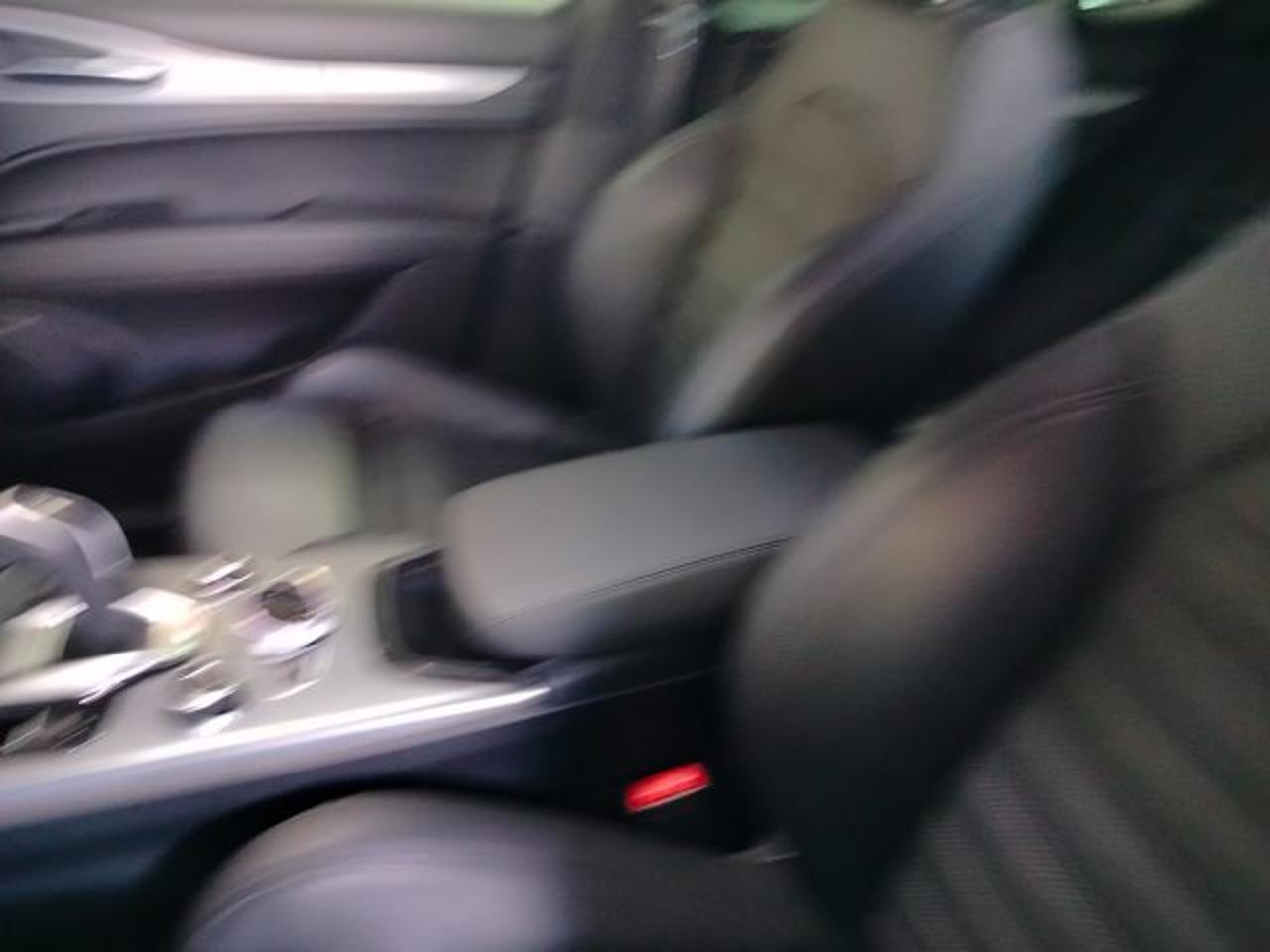 Alfa Romeo Alfa Romeo Stelvio usata 13