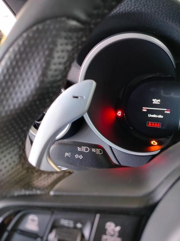 Alfa Romeo Alfa Romeo Stelvio usata 25