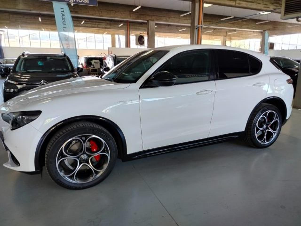 Alfa Romeo Alfa Romeo Stelvio usata 28