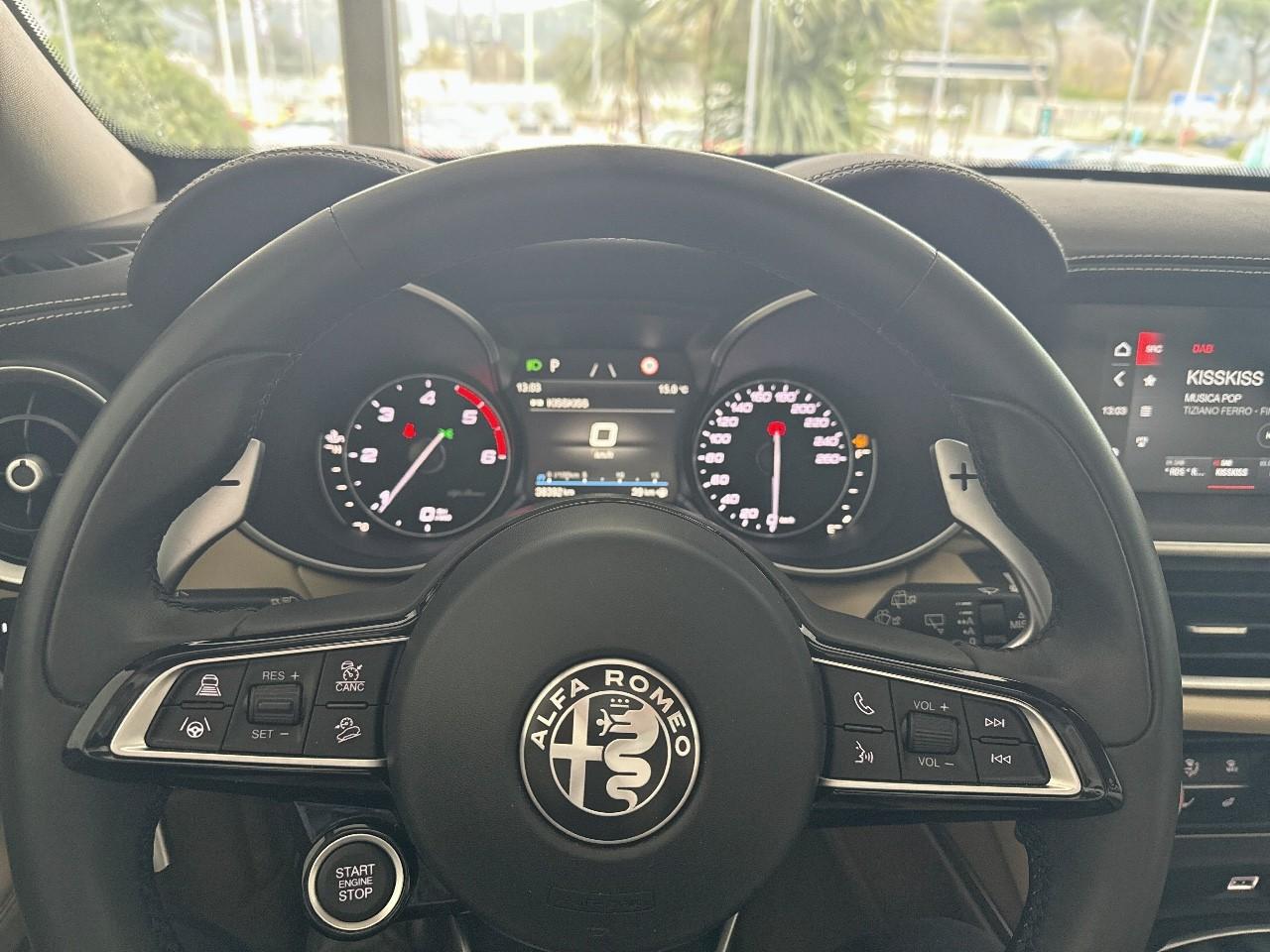 Alfa Romeo Alfa Romeo Stelvio usata 8