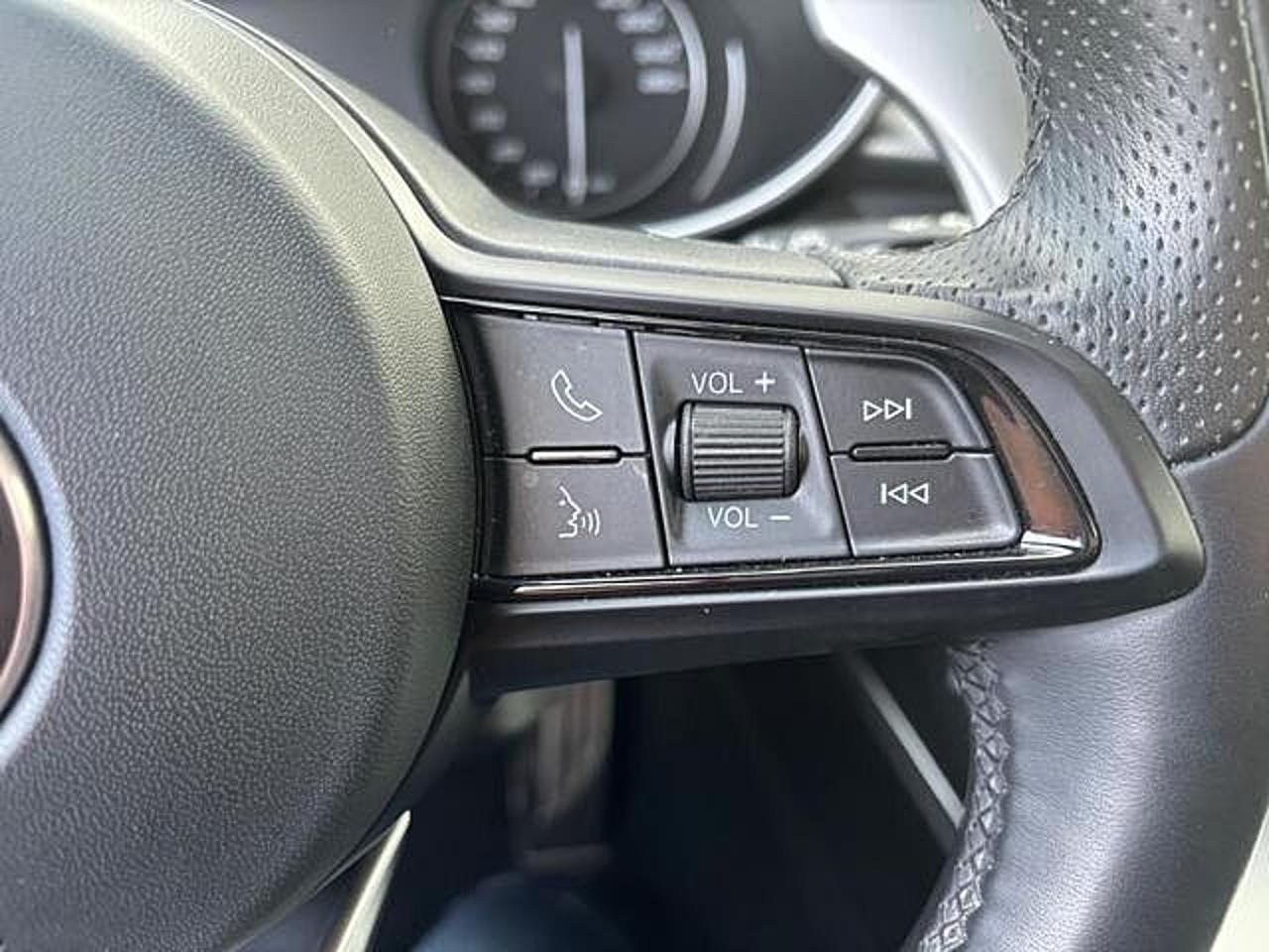 Alfa Romeo Alfa Romeo Stelvio usata 17