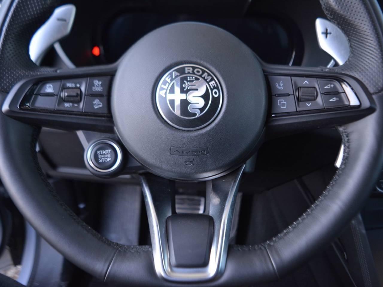 Alfa Romeo Alfa Romeo Stelvio usata 7