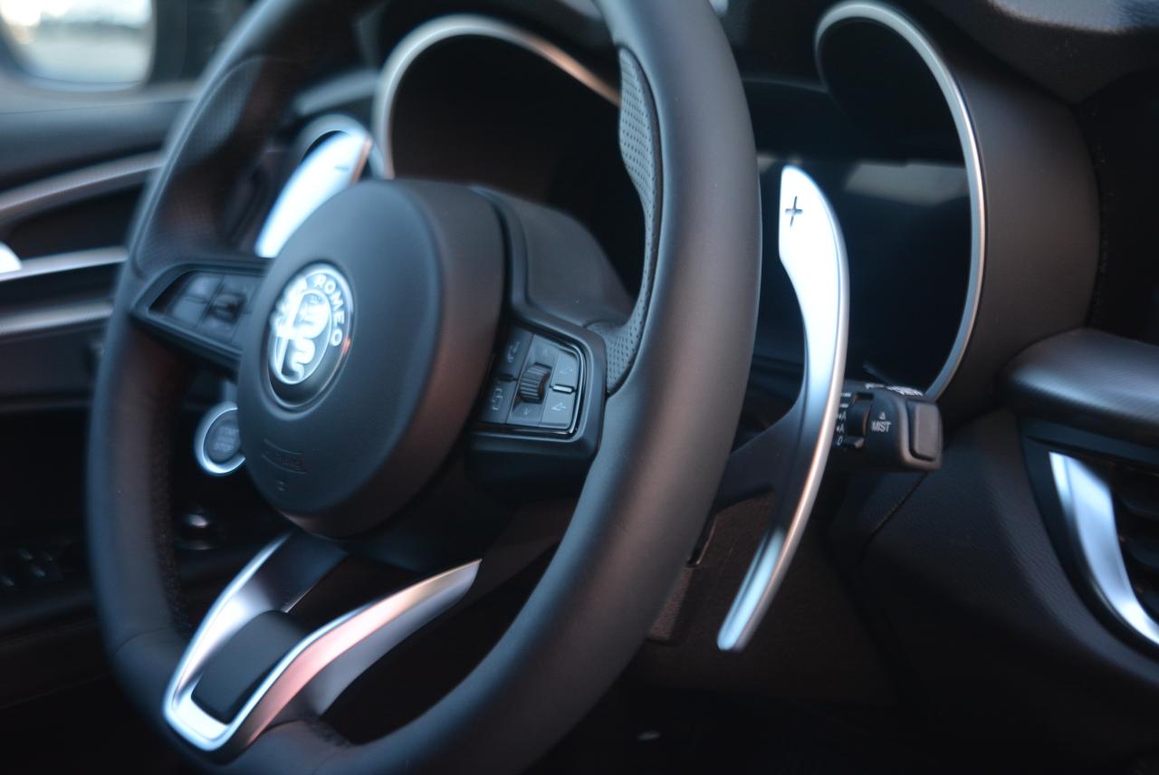 Alfa Romeo Alfa Romeo Stelvio usata 7