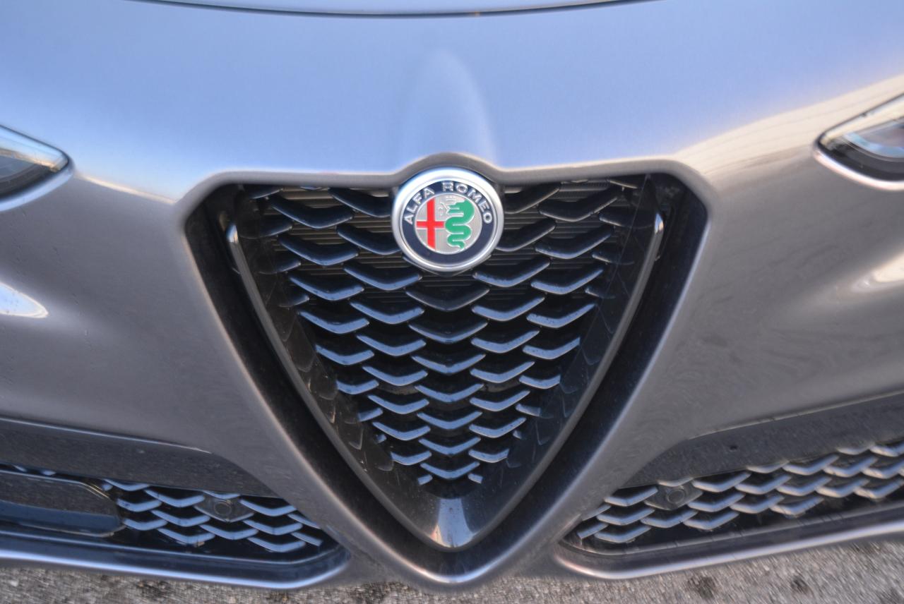 Alfa Romeo Alfa Romeo Stelvio usata 13