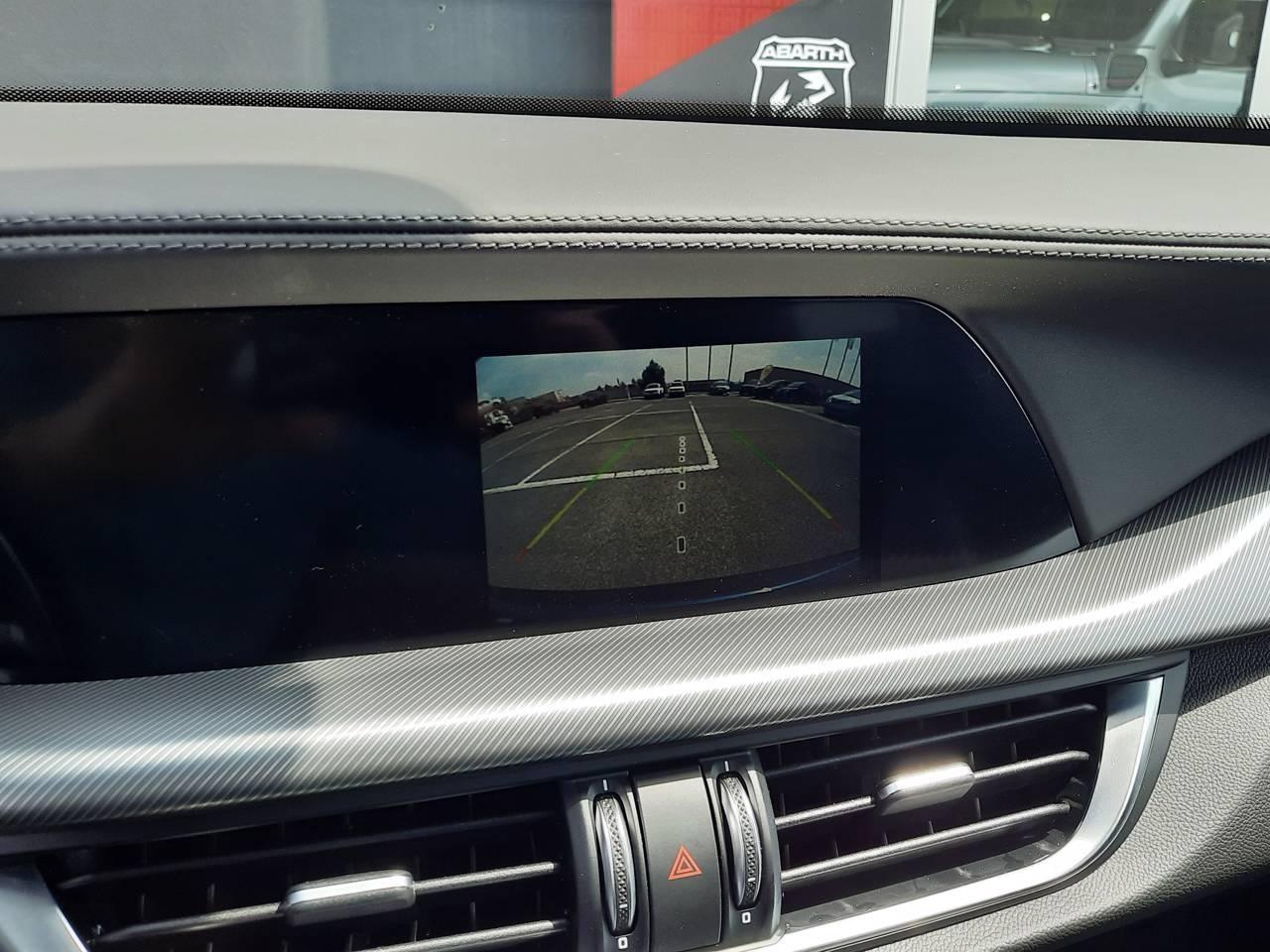 Alfa Romeo Alfa Romeo Stelvio usata 7