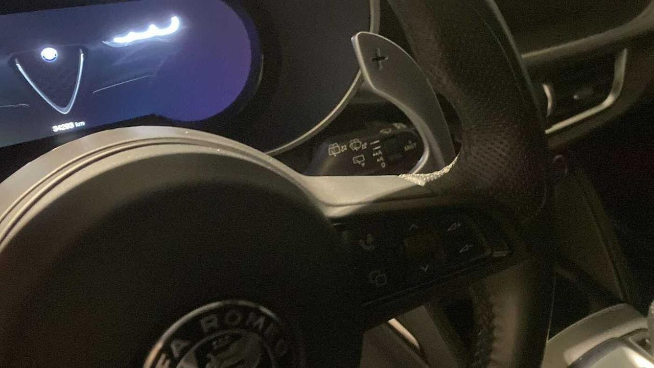 Alfa Romeo Alfa Romeo Stelvio usata 13