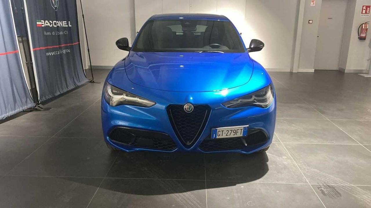Alfa Romeo Alfa Romeo Stelvio usata 21
