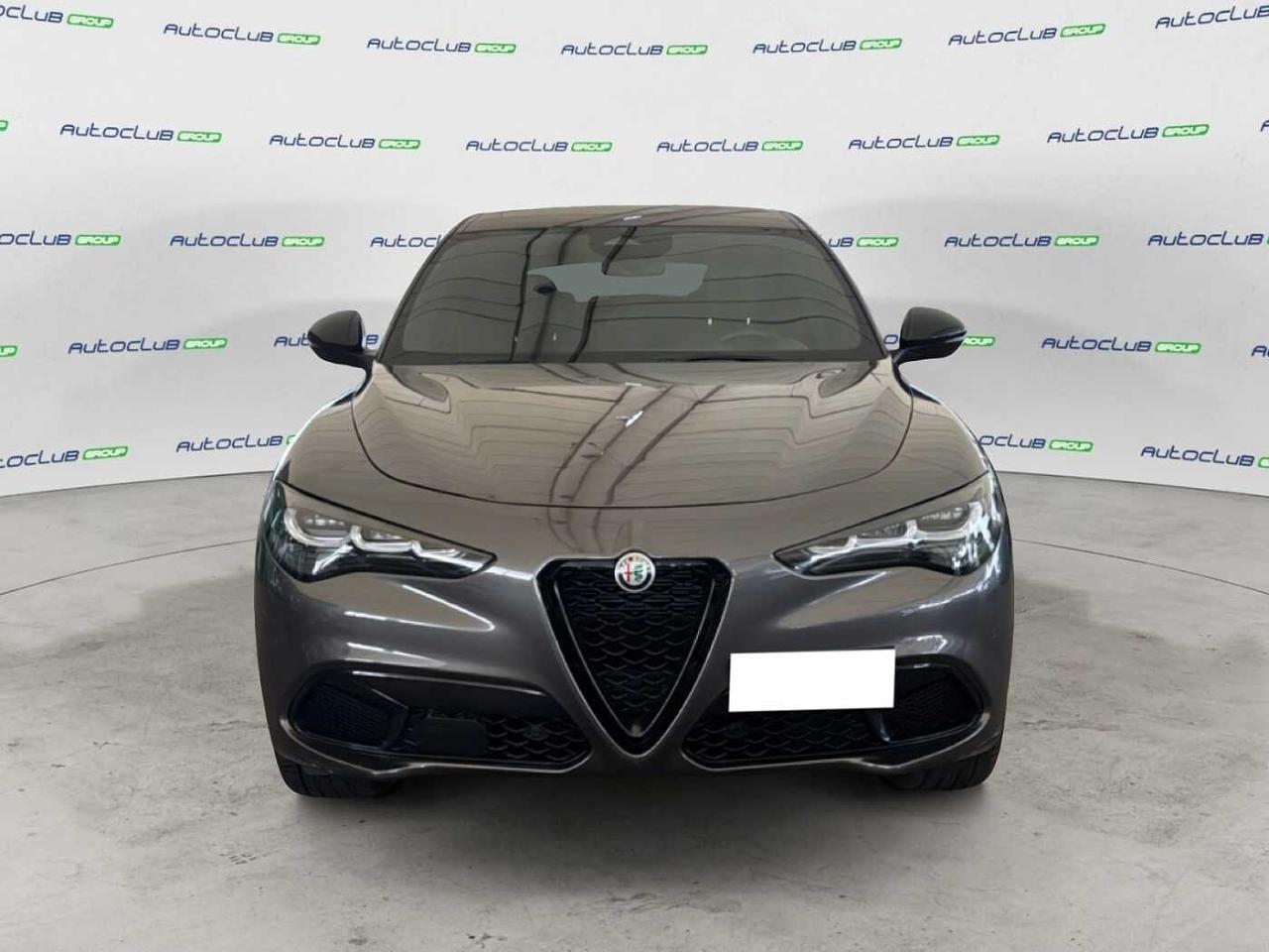 Alfa Romeo Alfa Romeo Stelvio usata 11