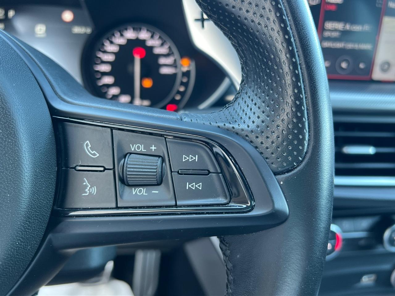 Alfa Romeo Alfa Romeo Stelvio usata 9