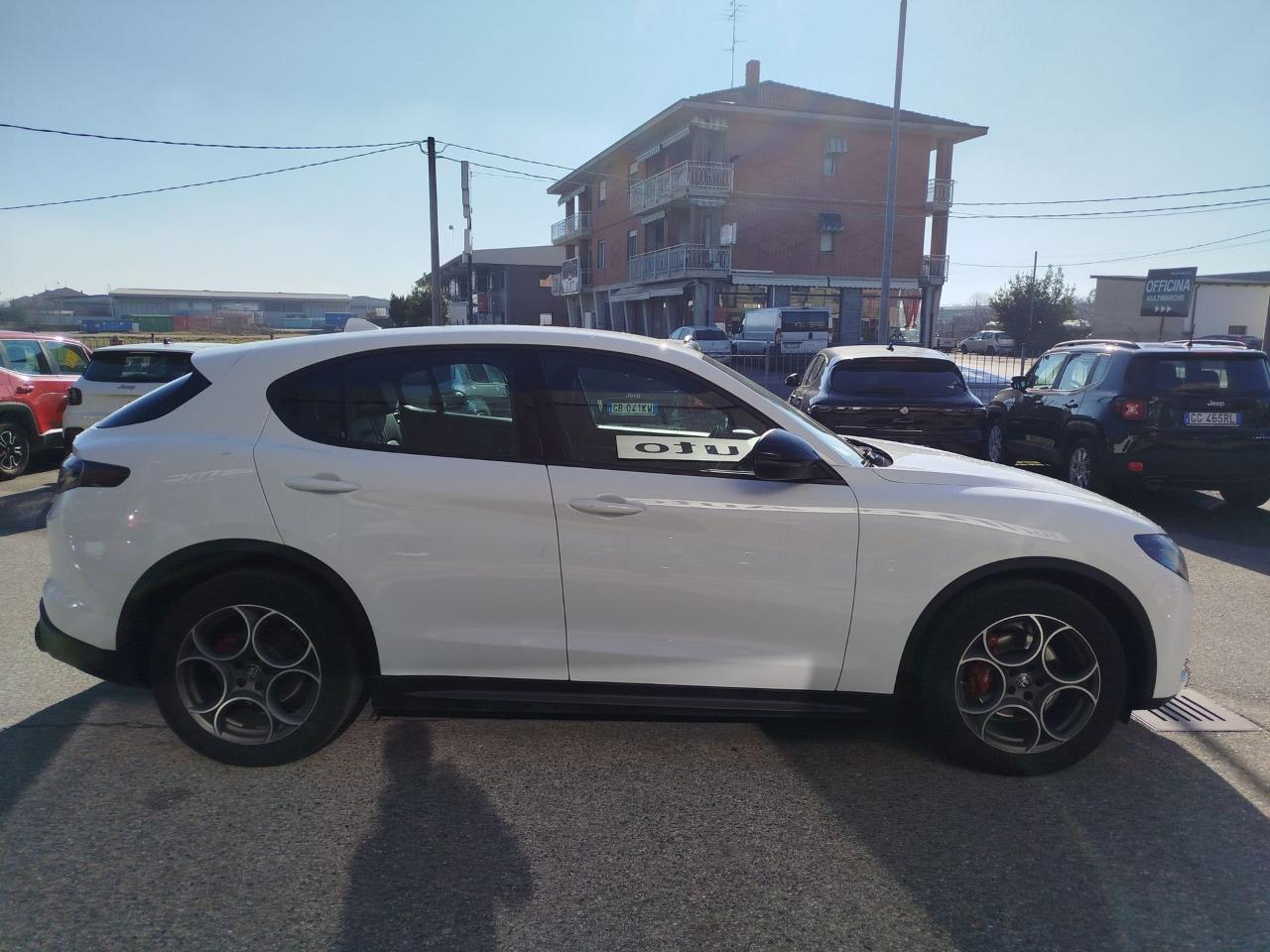 Alfa Romeo Alfa Romeo Stelvio usata 19