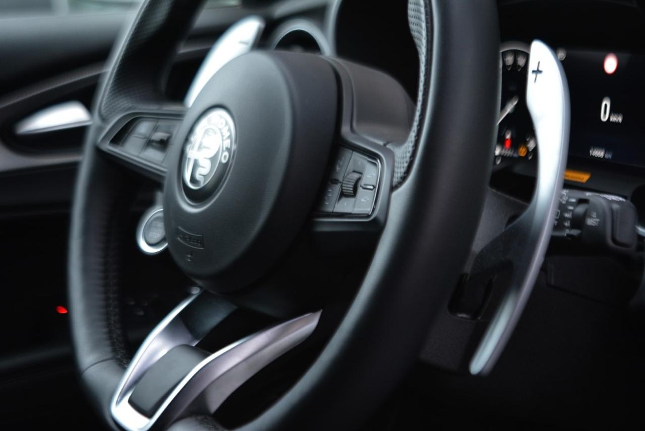 Alfa Romeo Alfa Romeo Stelvio usata 7