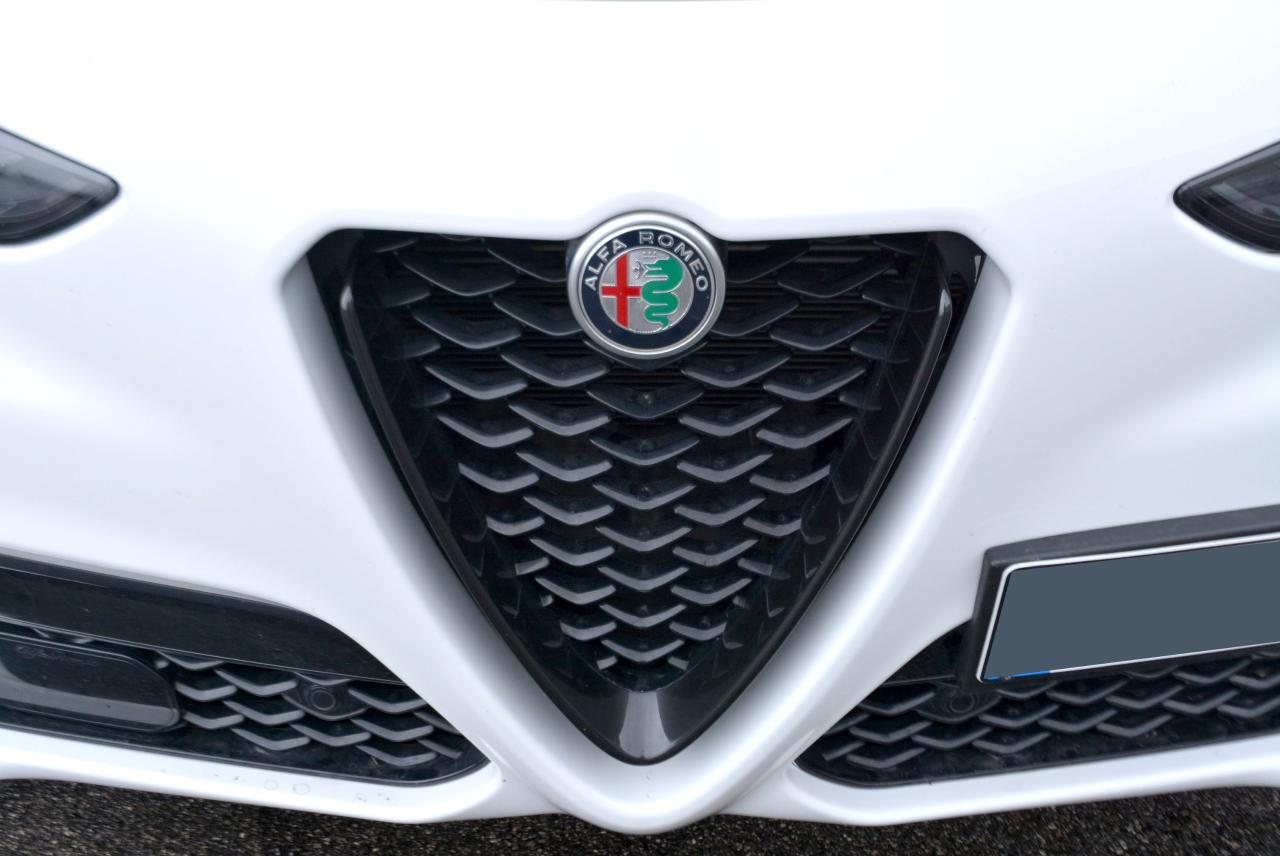 Alfa Romeo Alfa Romeo Stelvio usata 12