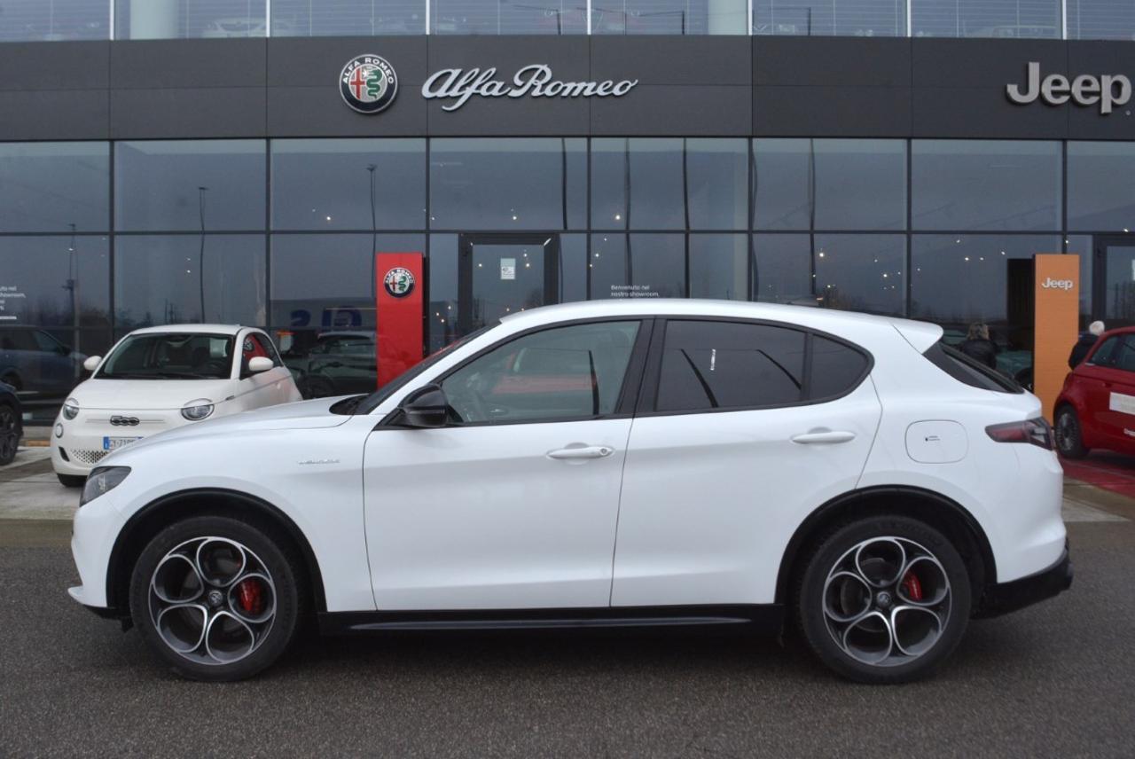 Alfa Romeo Alfa Romeo Stelvio usata 15