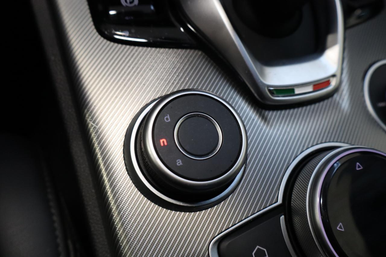 Alfa Romeo Alfa Romeo Stelvio usata 7