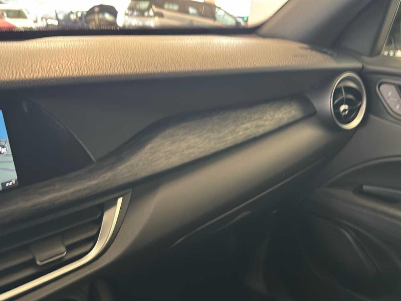 Alfa Romeo Alfa Romeo Stelvio usata 10