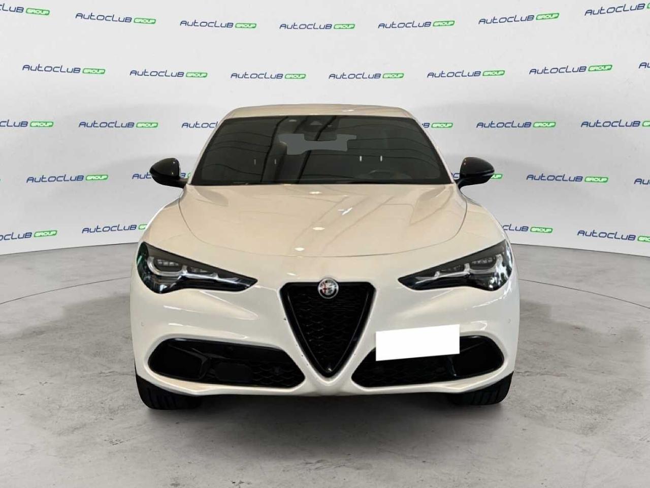 Alfa Romeo Alfa Romeo Stelvio usata 11