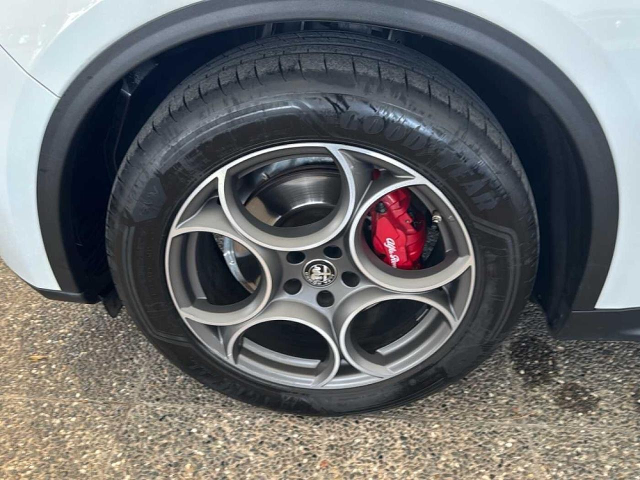 Alfa Romeo Alfa Romeo Stelvio usata 15